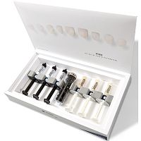 Vitique - композитный цемент для фиксации виниров, оттенок B1(1шпр.x6гр.+насадки)